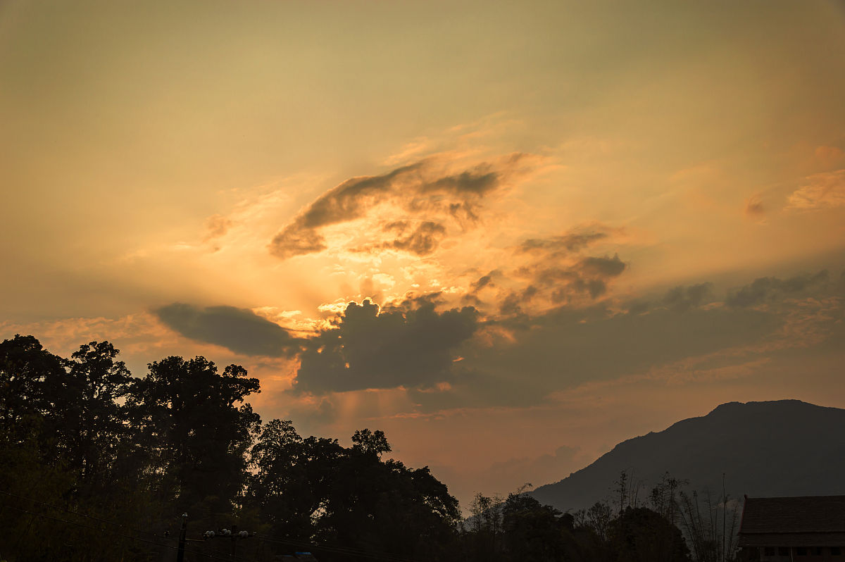 原始部落纷争：穿越远古时代，争夺生存资源！