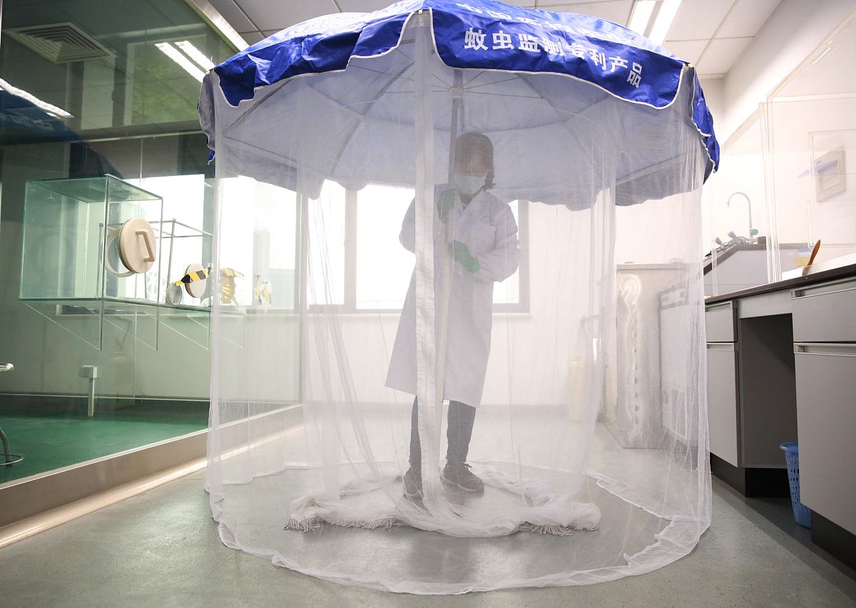 蚊子如何找到你？揭秘蚊子定位的秘密