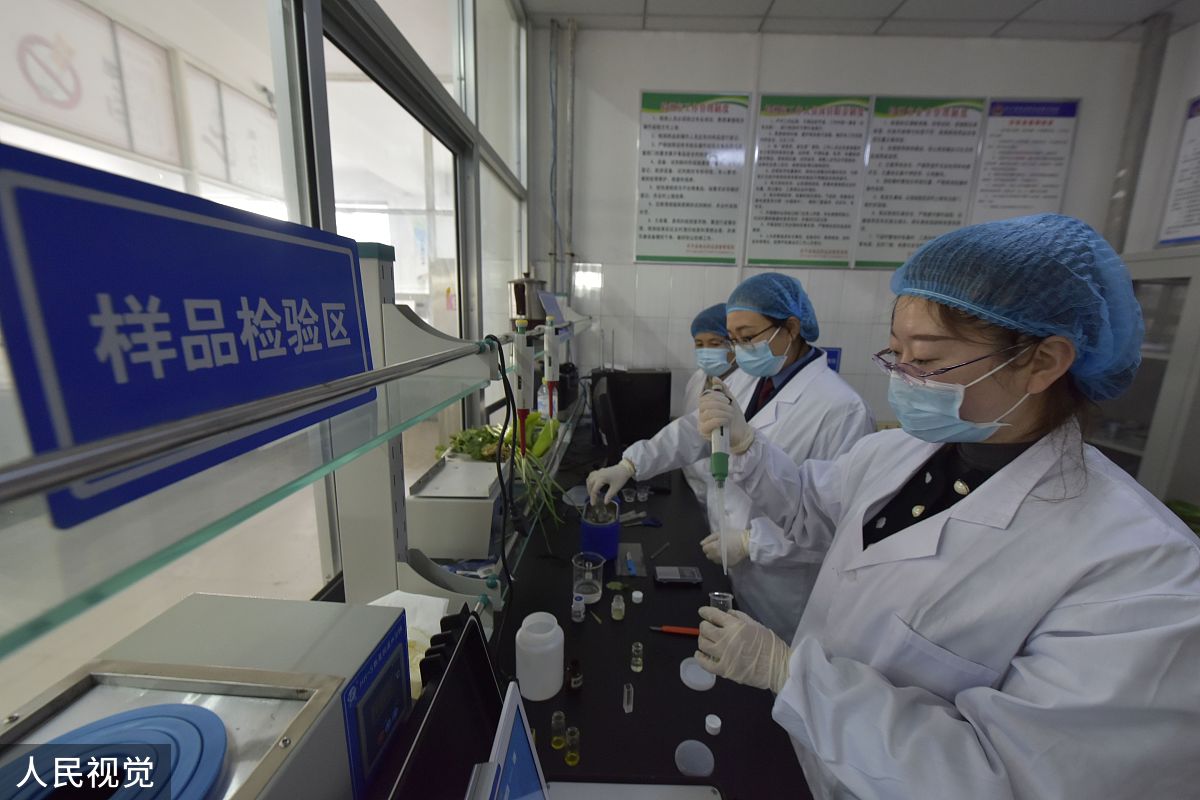 湖北职业技术学院医学院卫生检验与检疫技术专业就业方向 - 发展前景与就业趋势