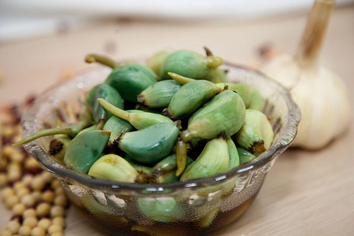 腊八蒜的做法_腊八蒜怎么做