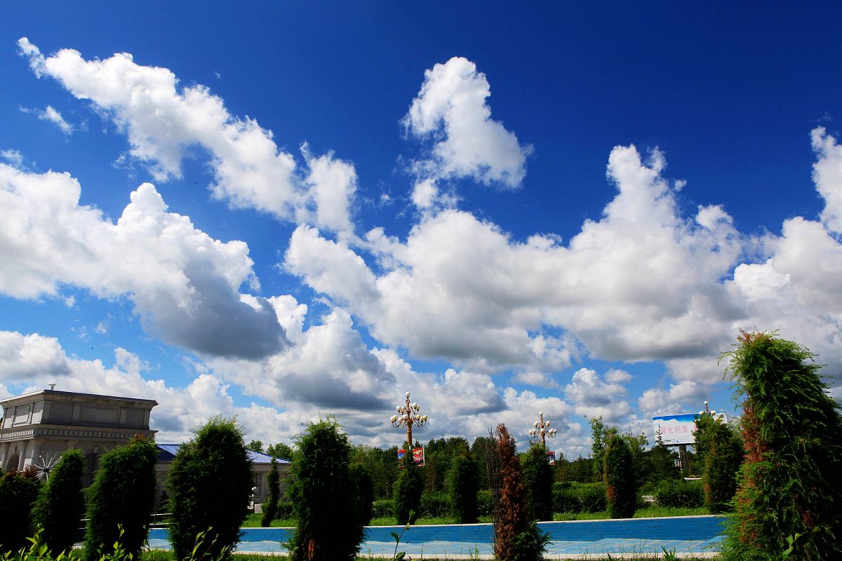 2013年7月21日,黑龙江黑河,一场大雨过后,一朵朵洁白的云朵挂满了湛蓝