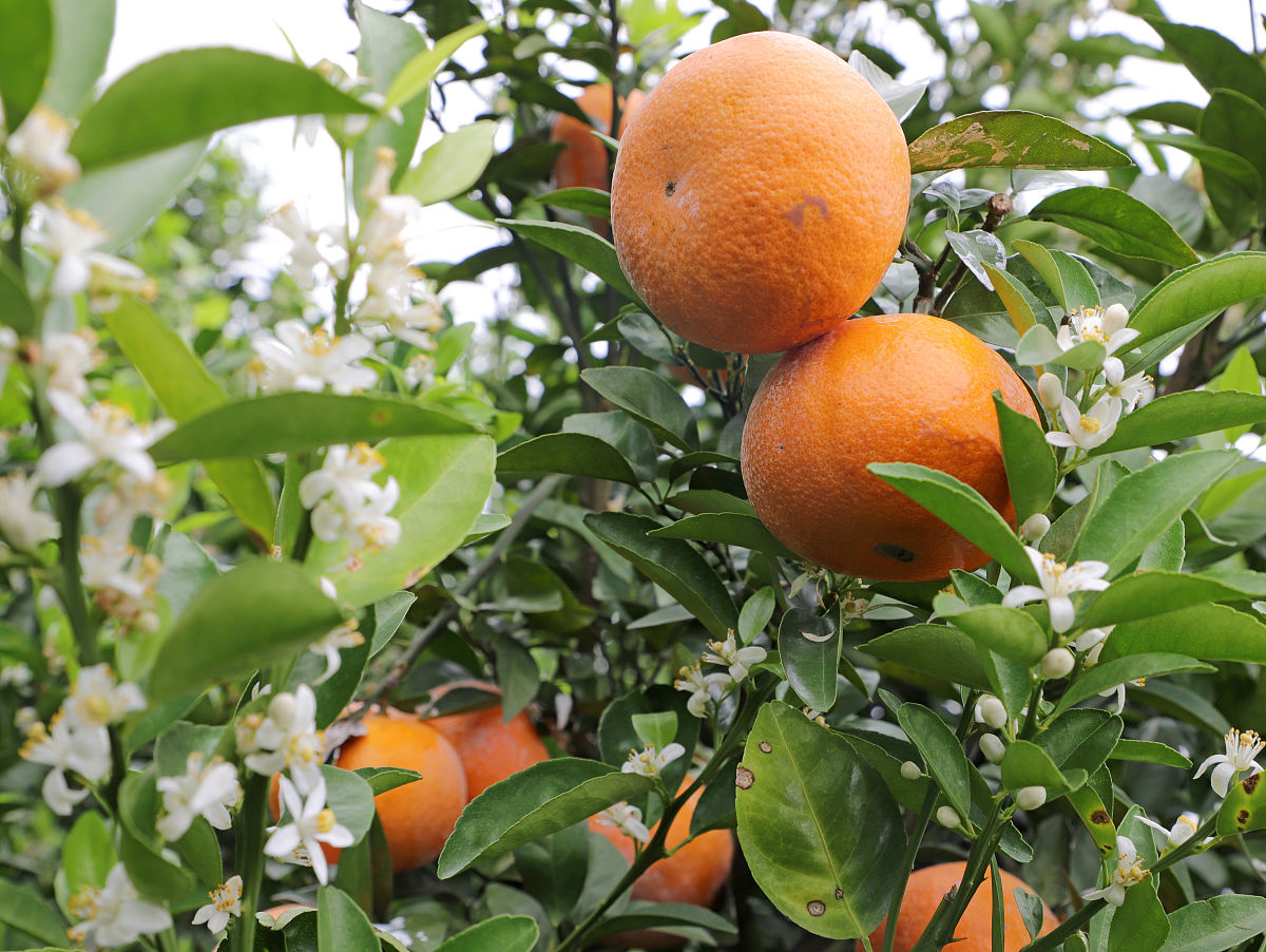麻烦在里面添加具体例子