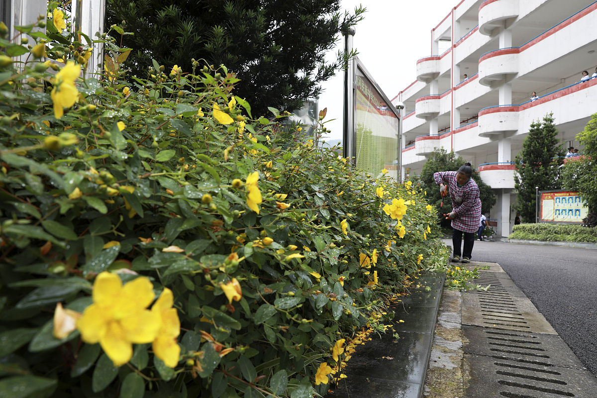 黔东南民族职业技术学院口腔医学专业招生 | 培养高素质口腔医学人才