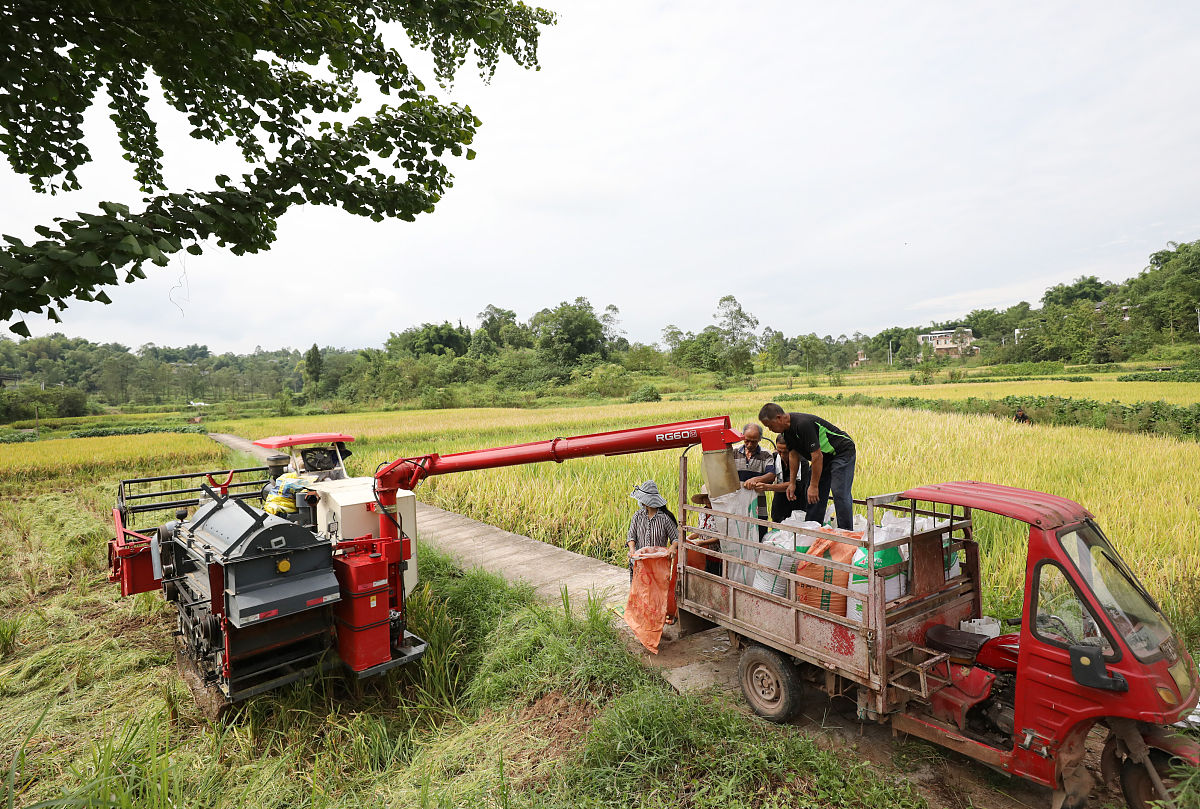 泸西县农业机械化技术学校教学