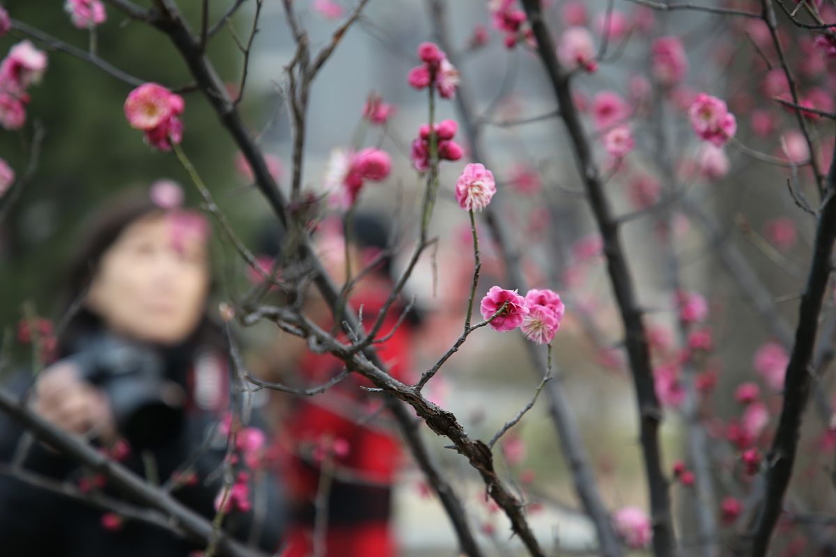 西南医科大学2019年招生简章