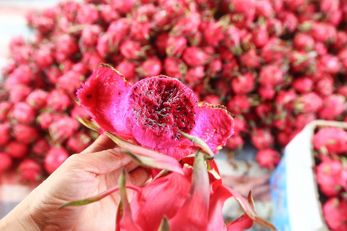 沈阳师范大学有哪些专业及什么专业好