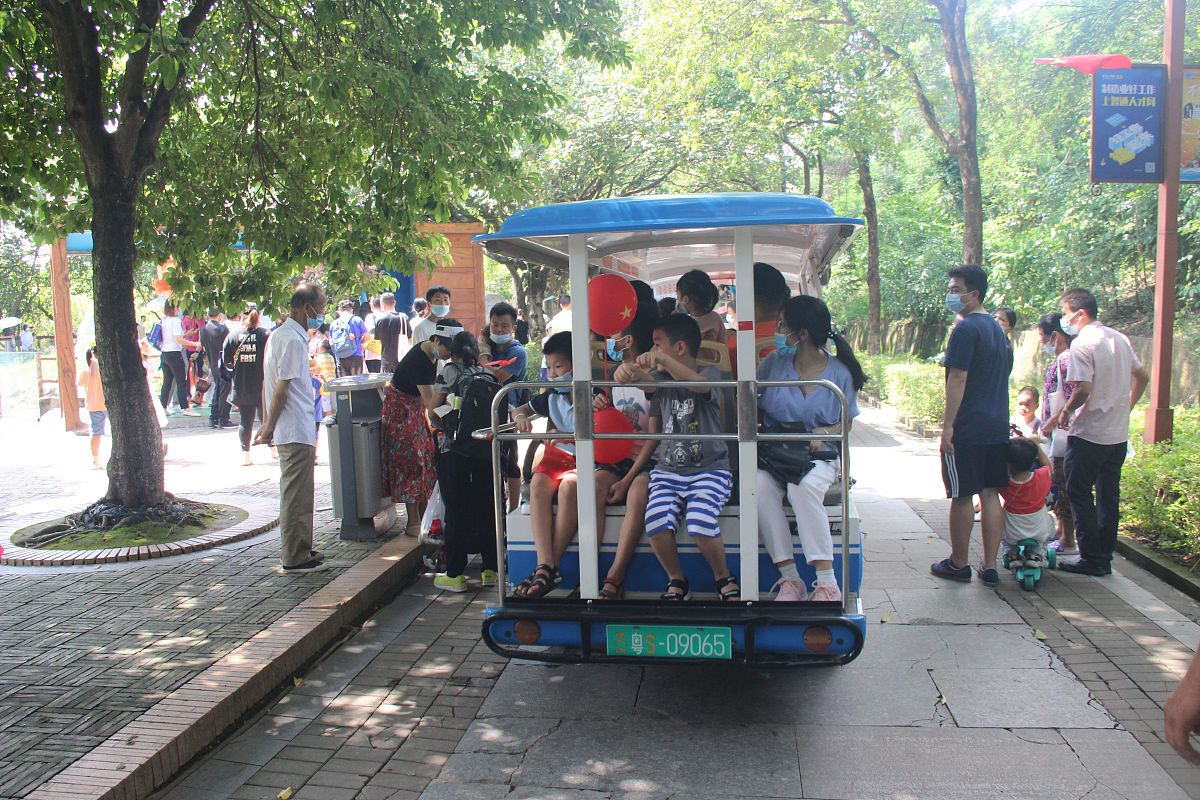 公园观光车安全知识科普：保障您旅途安全