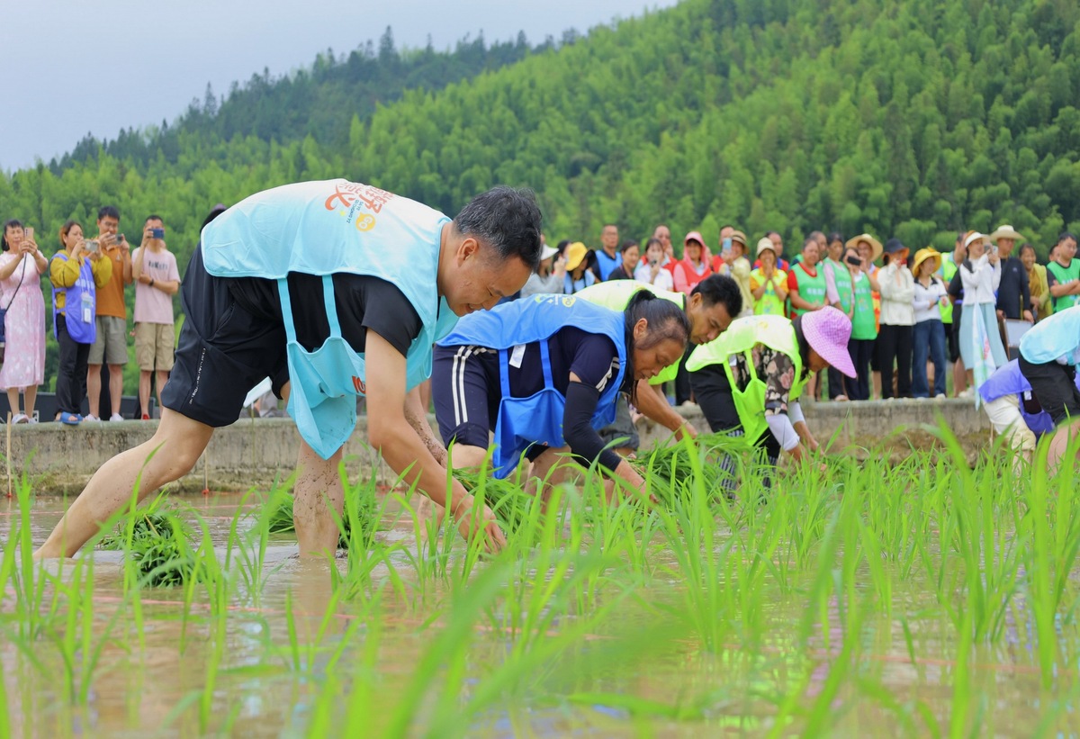 扩写下面的文章好了大家吃过早饭之后就开始今天的任务今天的任务就是喂肉兔还有处理它们的粪便维持干净卫生。吴敬话刚说完秦岚几人看他的神色都不对了。不是说好是旅游节目吗？为什么会变成家政节目。