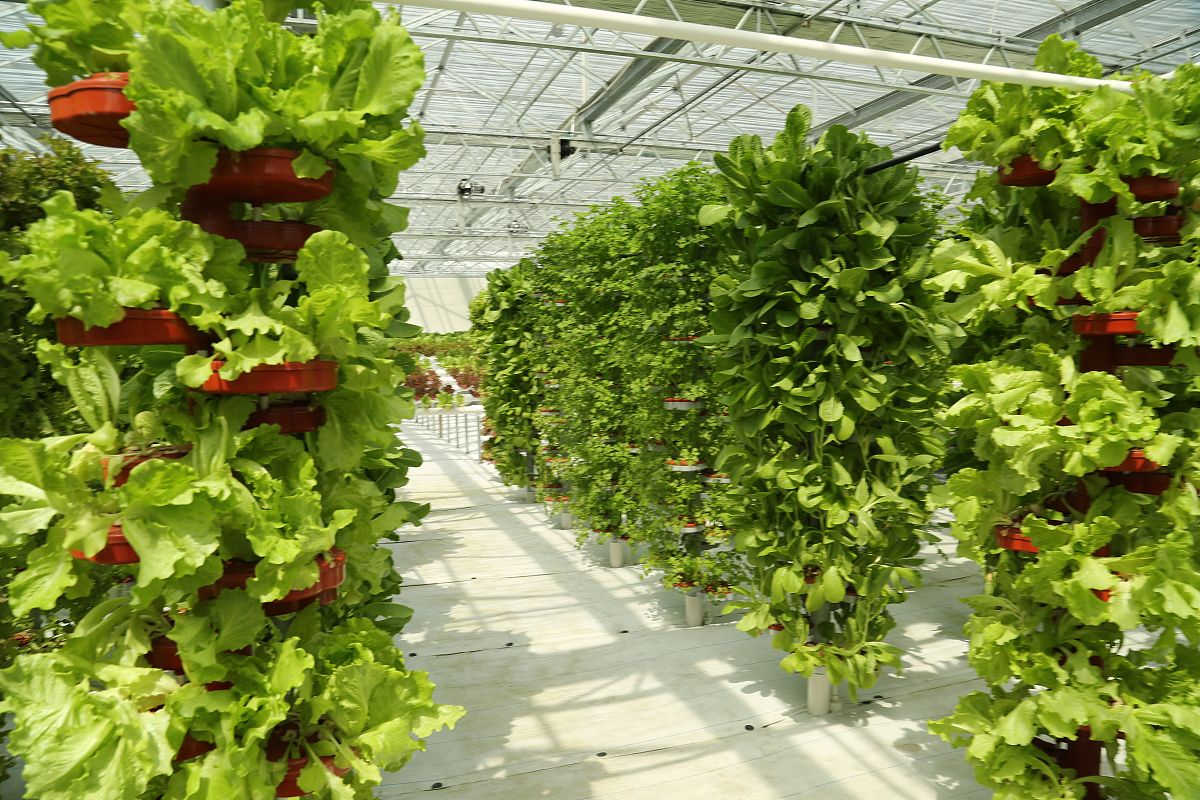 果蔬花卉生产技术专业发展前景如何？