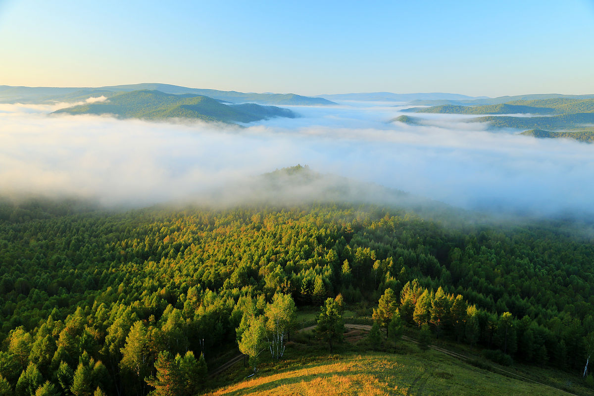 黑龙江农业职业技术学院植物保护与检疫技术专业好就业吗