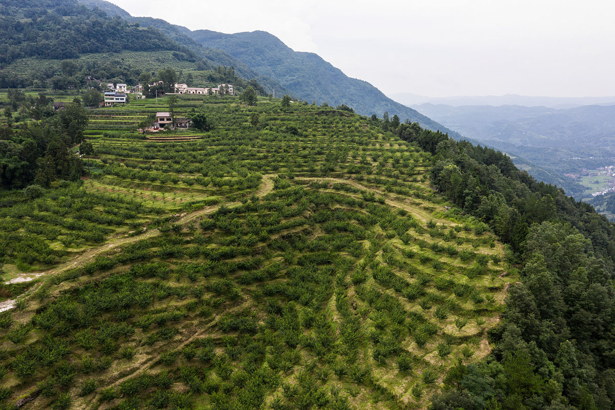 日照市农业学校招生条件和分数线 - 报考指南