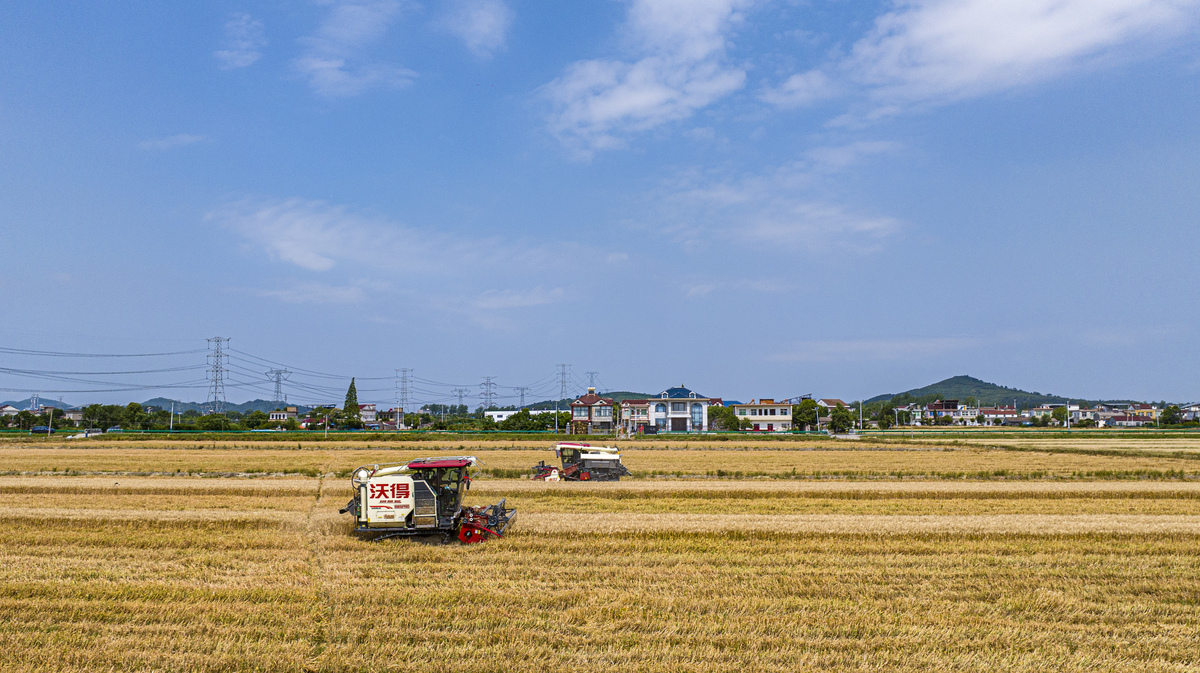 实施乡村振兴战略是党的十九大作出的一项重大决策部署。产业兴旺是乡村振兴的经济基础和 主要抓手必须抓紧抓实。与众不同的两无化大米两无化大米足指在生产过程中不使用任何化肥和农药的大米。种植生产两无化水稻大米 是本市某区结合高科技、高品质、高附加值的发展目标开展农业产业探索的一项新举措。两无化大米严格优选种源选择了市场认可度高的优质品种。种植基地采用国际先进的种植及管 理方式严格按照绿色无毒环保的要求进