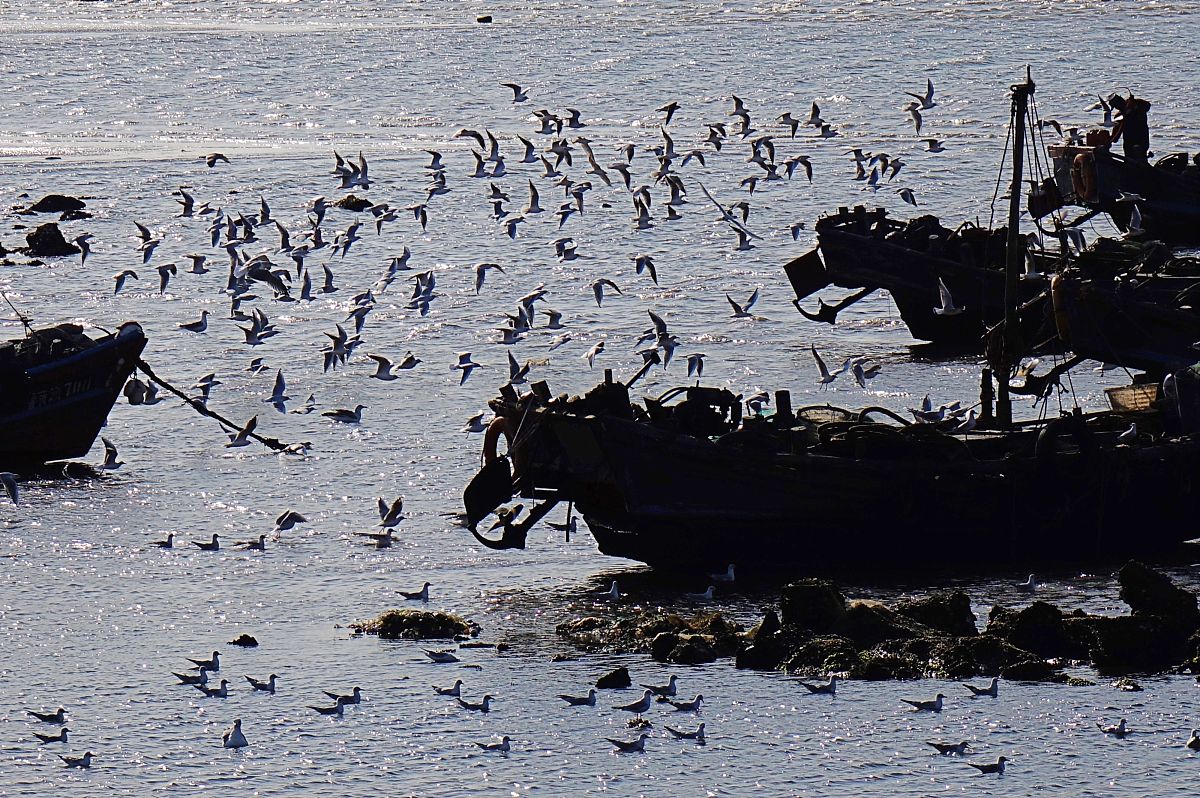西翔航空学院2019-幼儿园经营管理企业管理方向