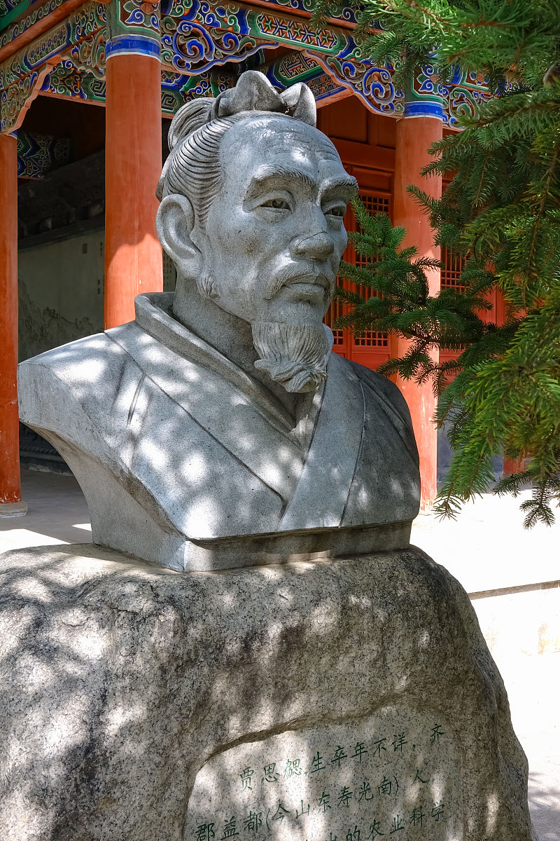 贾思邈：唐代医学巨匠，著述丰厚，影响深远