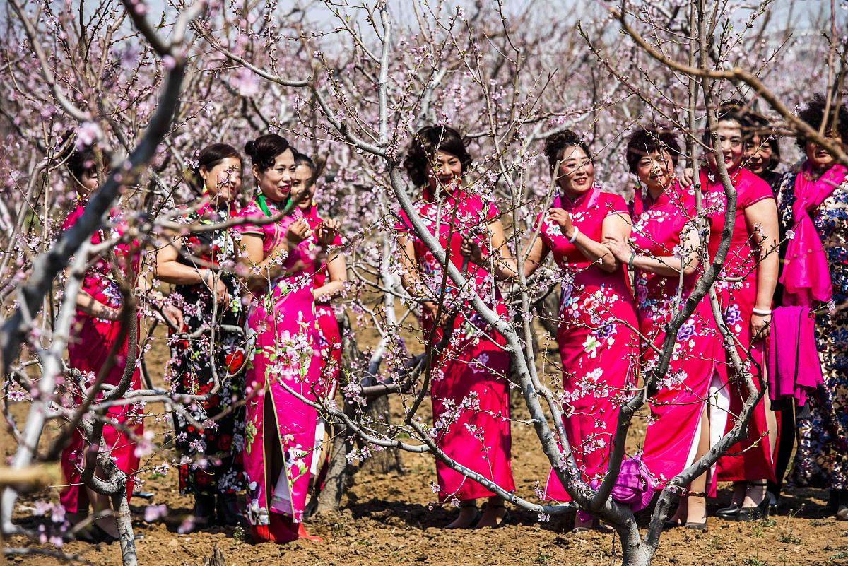 潍坊科技职业学院中专部地址在哪里