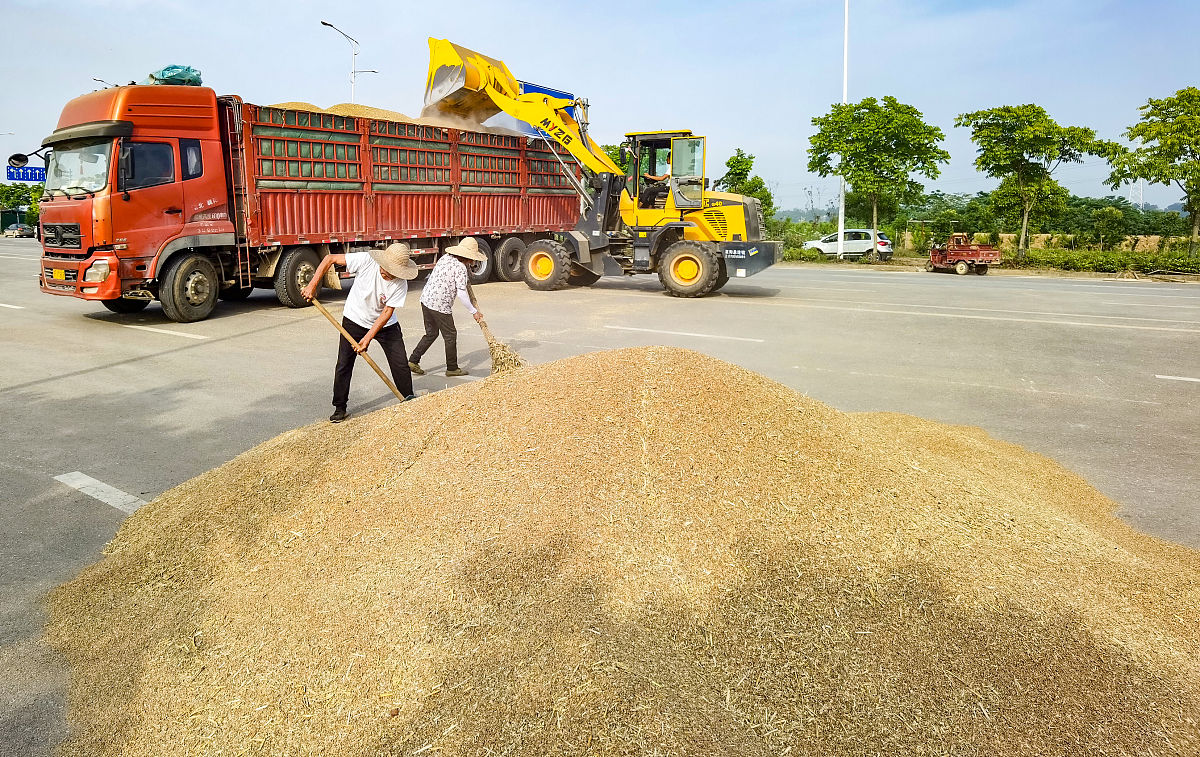 秋粮收购粮点轮换不及时：问题分析与解决方案