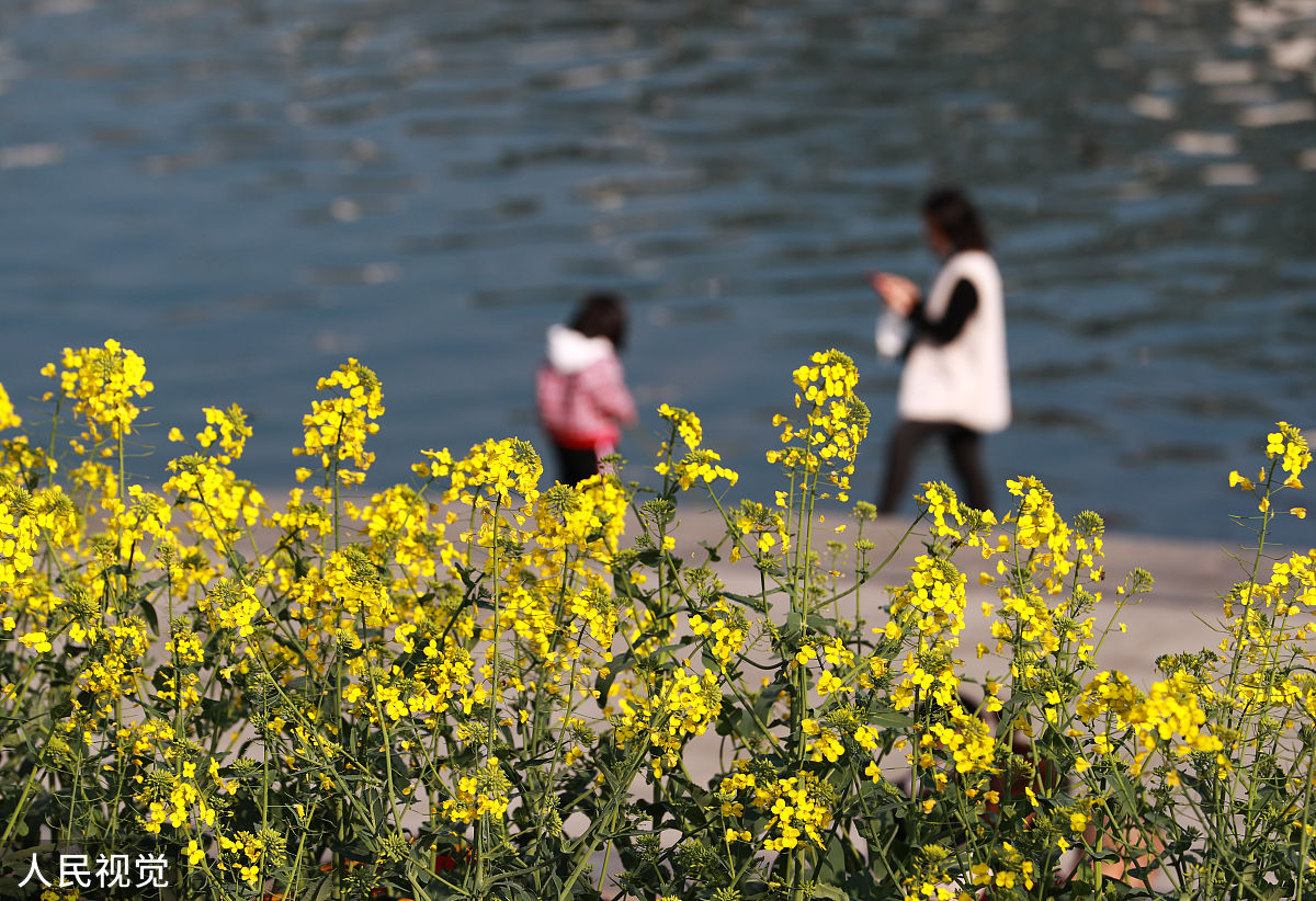 玉屏侗族自治中等职业学校2023招生简章