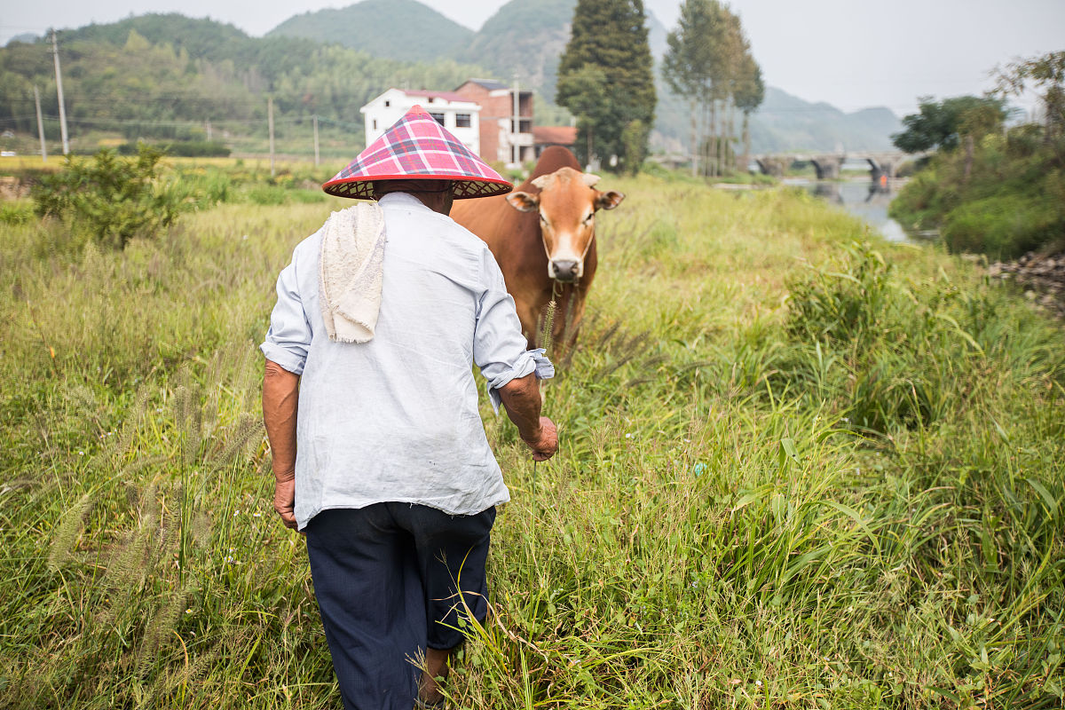 长沙湘麓中等职业学校2023年招生简章-好不好