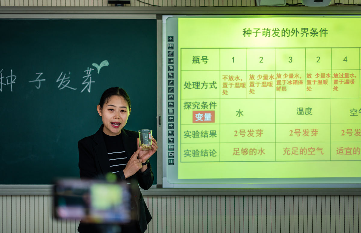 优秀教师事迹材料：张老师的教育成果与贡献