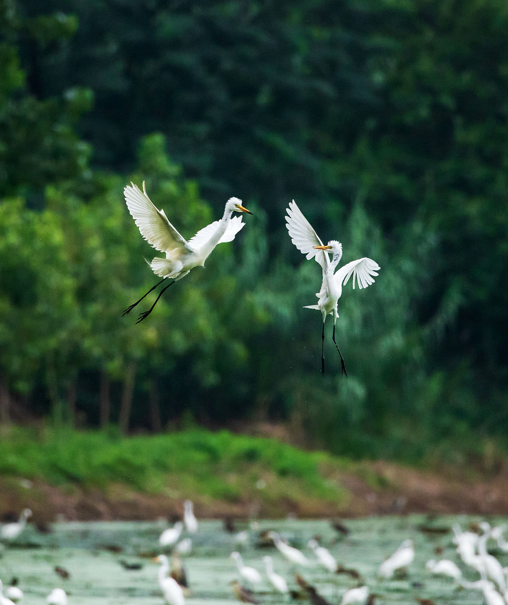 淮阴卫生学校2023年地址在哪里