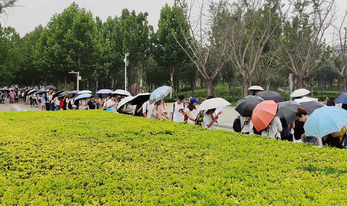 河南省财经学校招生简章