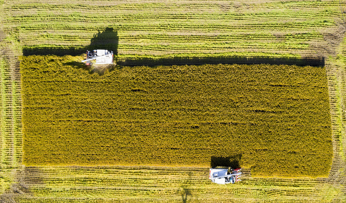 长春市农业学校有哪些专业？学校好不好