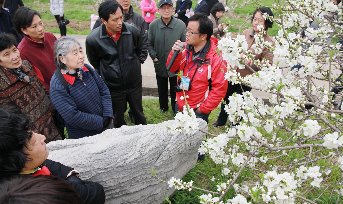 桃是世界性的重要果树树种其中我国桃栽培面积和产量均居世界首位。桃开花期性状因品种而异同时受环境影响较大。随着全球气候变暖极端气候频繁发生桃树花期冻害愈发频繁严重影响了产业的发展。n分子育种是加速果树种质创新的重要途径。培育不同开花期的品种明确花期调控的分子机制并从分子水平调控花期能够有效缓解花期冻害对产业造成的影响。为明确桃开花期性状调控的分子机理研究者已经开展了大量的基因定位与挖掘工作Fan-et-al-2010;-Dirlewanger-et-al-2012;-Zhebentyayeva-e