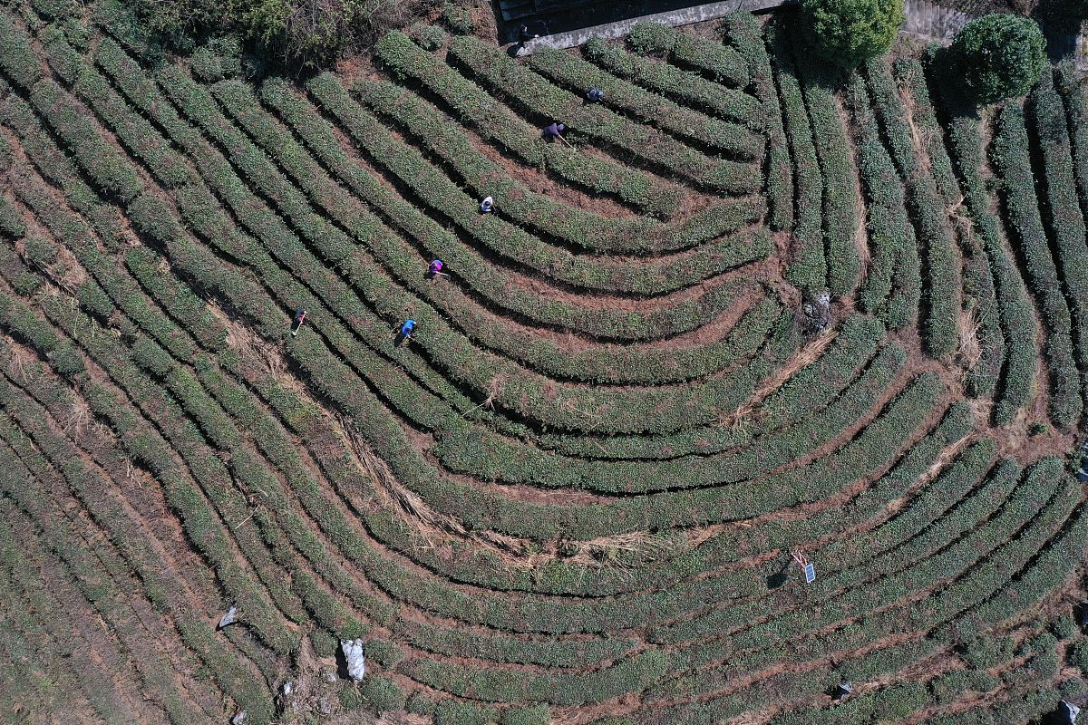 2022重庆卫生技工学校要多少分