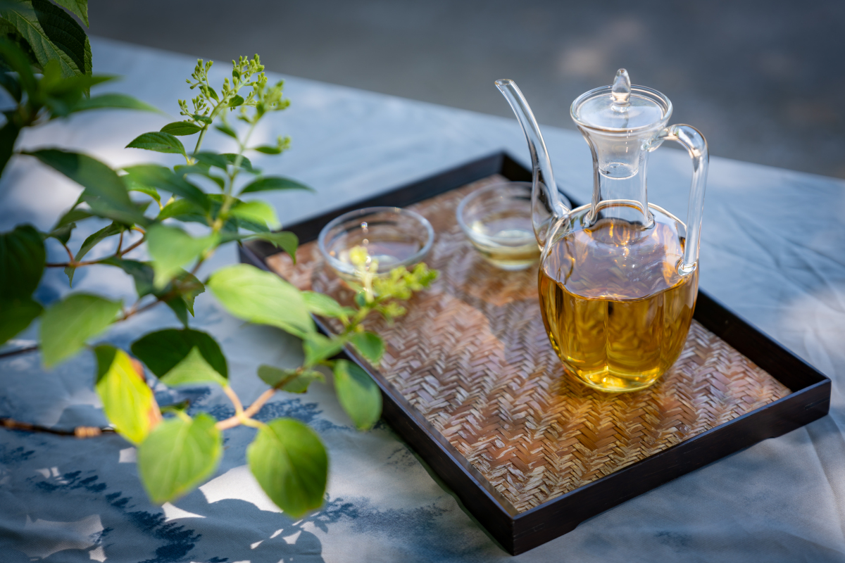 🍵我的养生茶笔记 | 呵护身心，探索健康之源