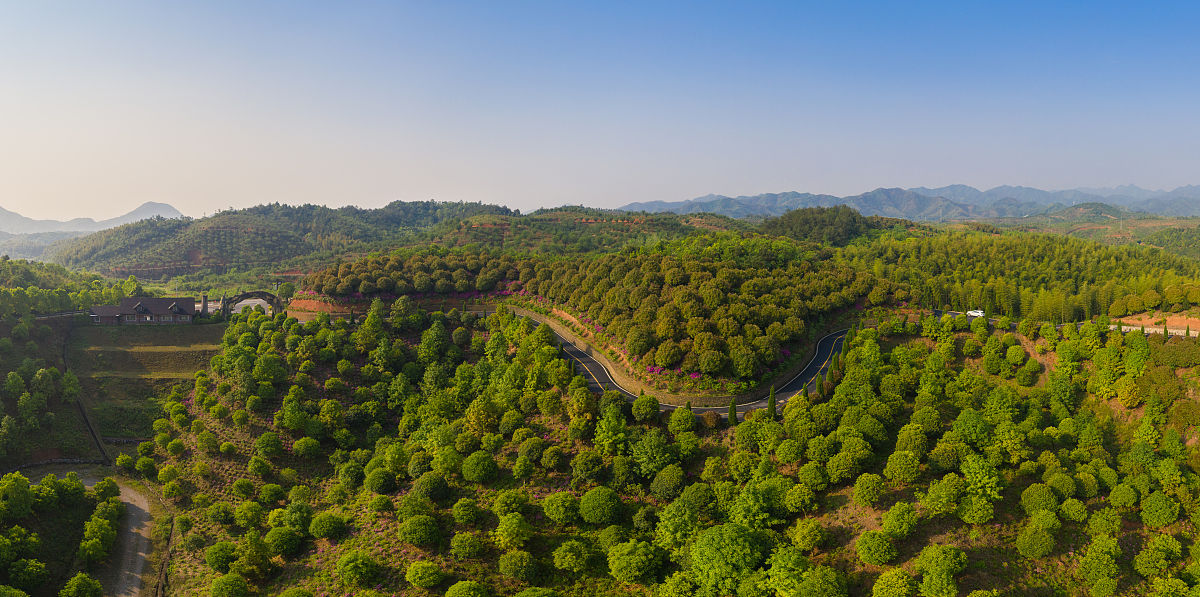 论述重庆市森林资源保护过程中森林资源保护技术落后的问题分析不得少于800字。