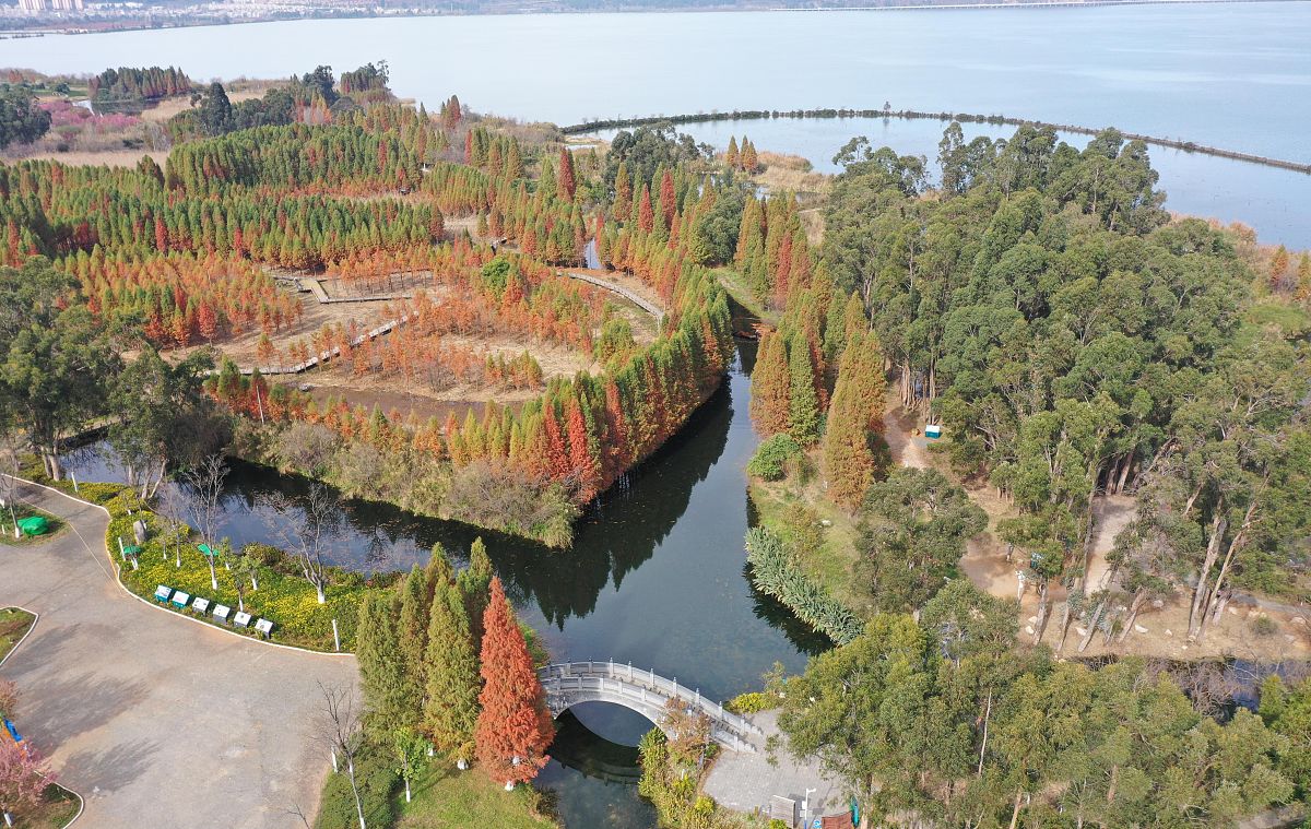 昆明2022年大专有卫校吗用 昆明2022年大专有卫校吗用