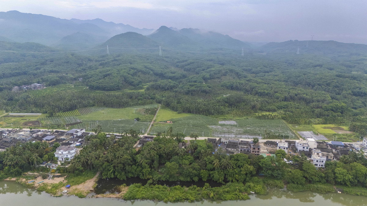 平南县上渡街道河口村、上石村、大成村水利灌溉建设需求预测