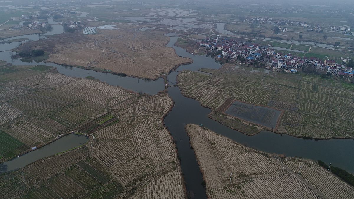 三年级作文：春天的风 - 温暖而轻柔的春风