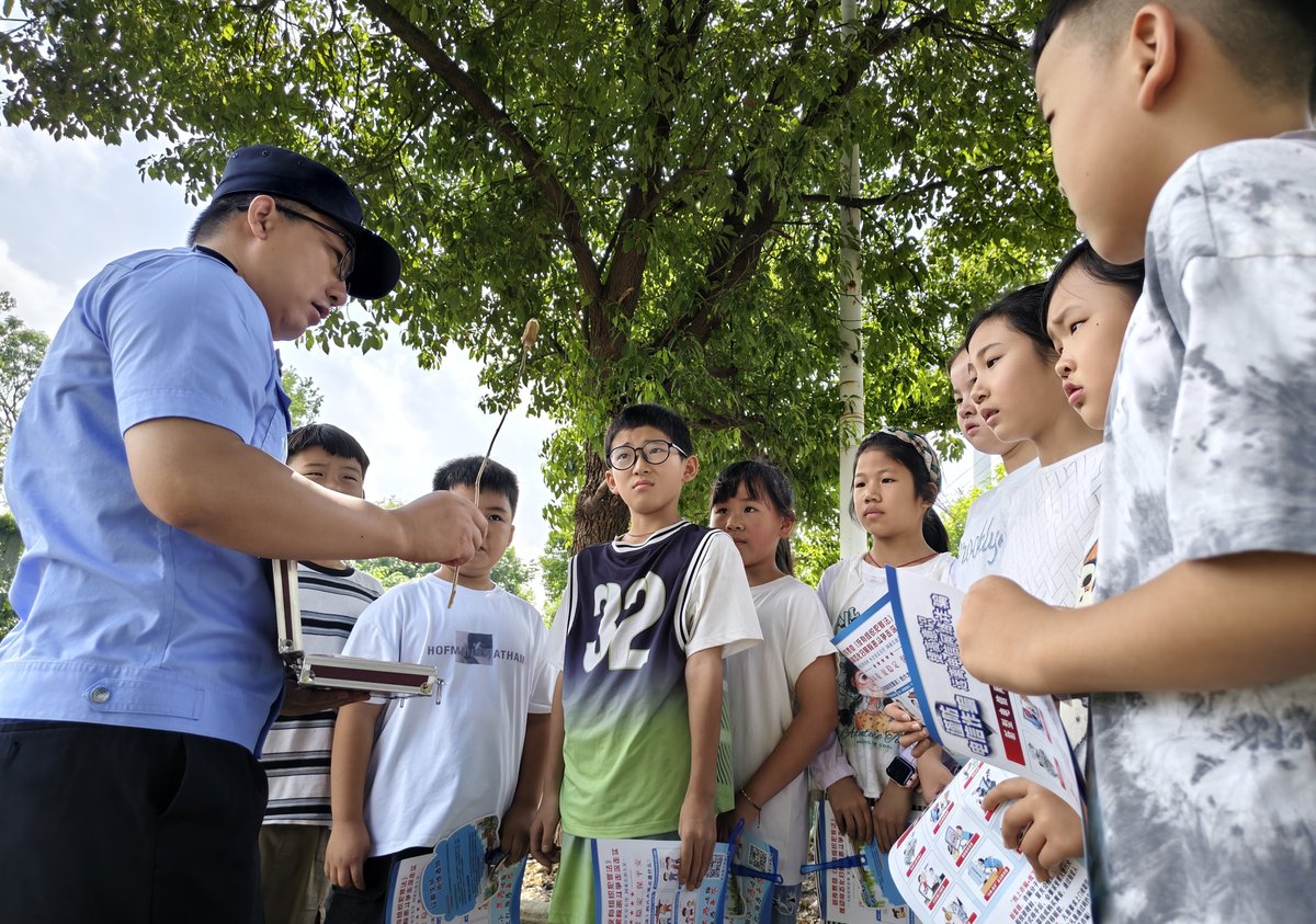 学生引路人：帮助新生适应学校生活的重要角色
