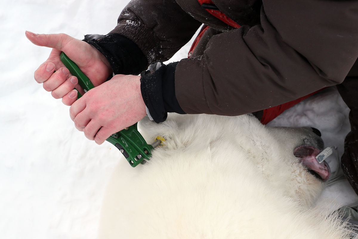 FS电力公司工程项目成本预算评估机制不完善问题分析及解决方案