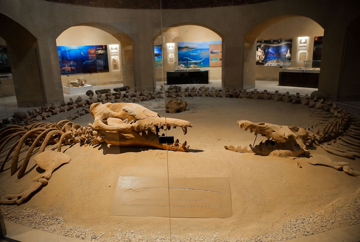 当地时间2019年3月12日,埃及法尤姆省"鲸鱼谷"(wadi el hitan),当地fo