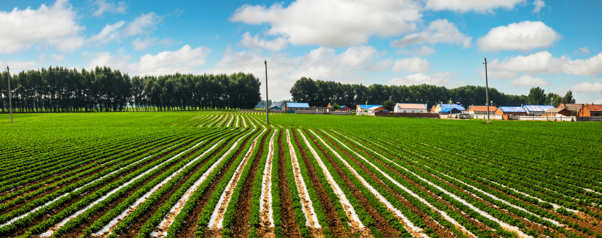 吉林农业资源与环境专业就业前景及方向分析