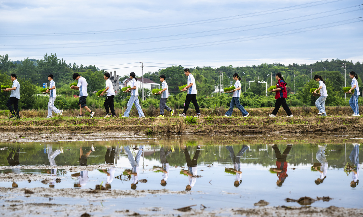 返乡大学生投身乡村振兴课题研究的主要困难