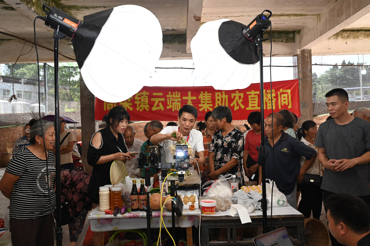 帮我写一份直播人才培训20天的方案