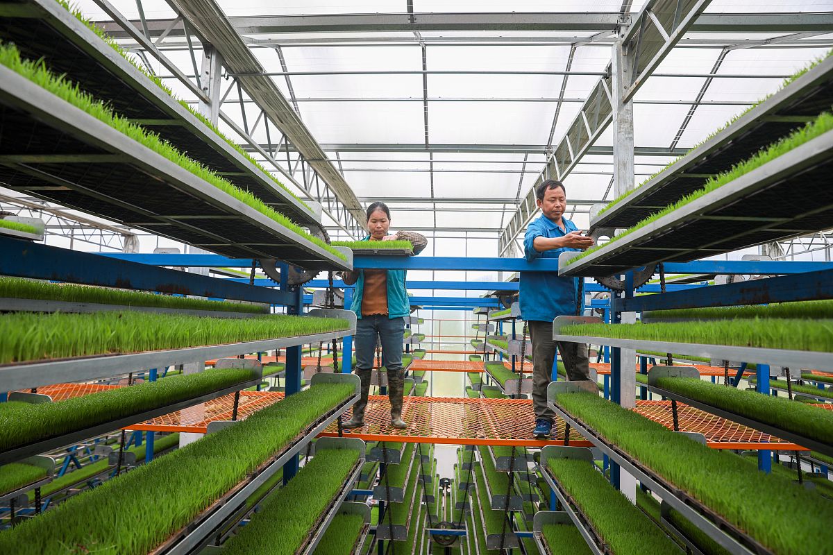 衡阳农工贸职业学校2022年招生简章