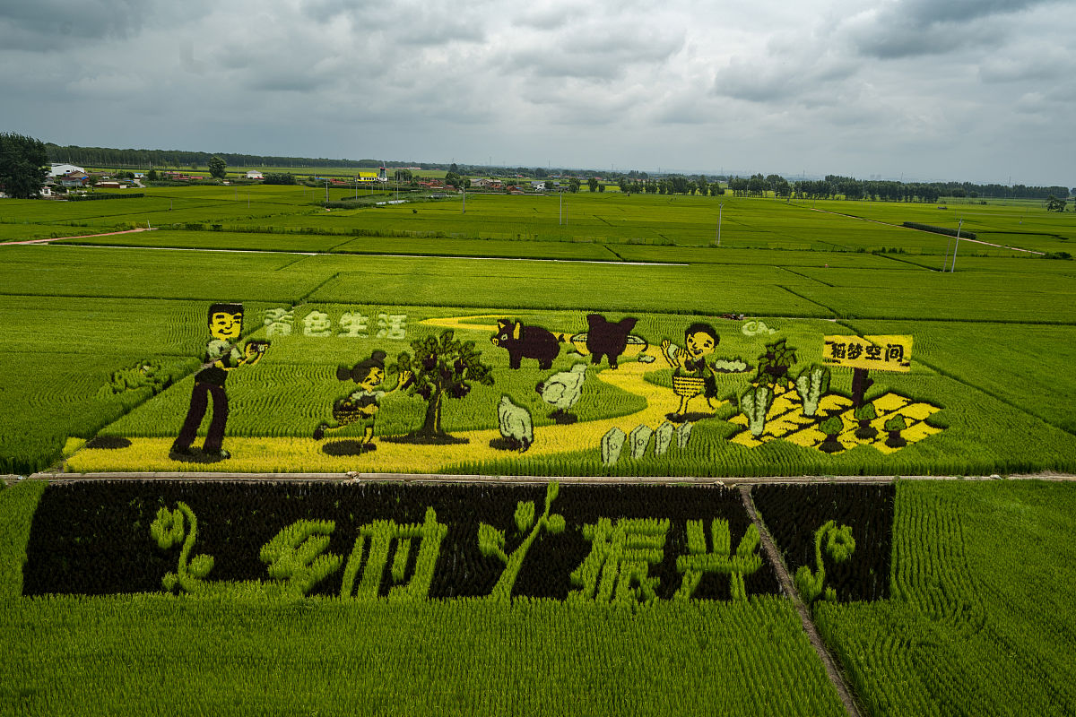 东丰乡村振兴七言绝句：富裕绿意，团结宏图