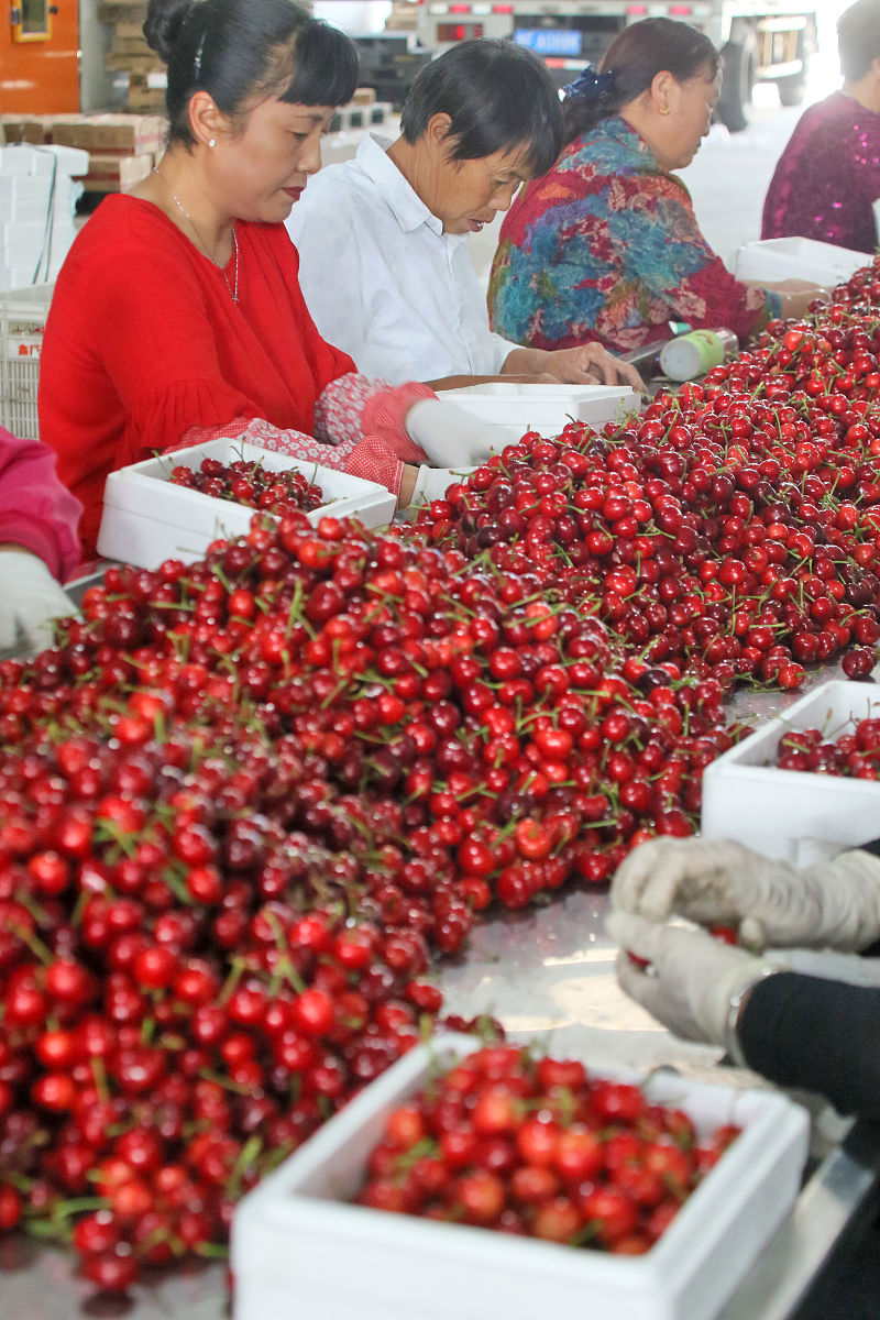 烟台福山区成人中等专业学校办学层次详解