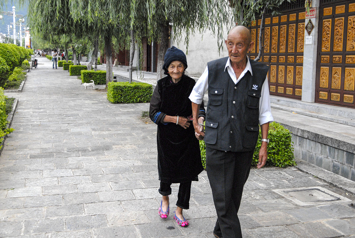 退休老人与忠犬小沫：温情故事感动人心