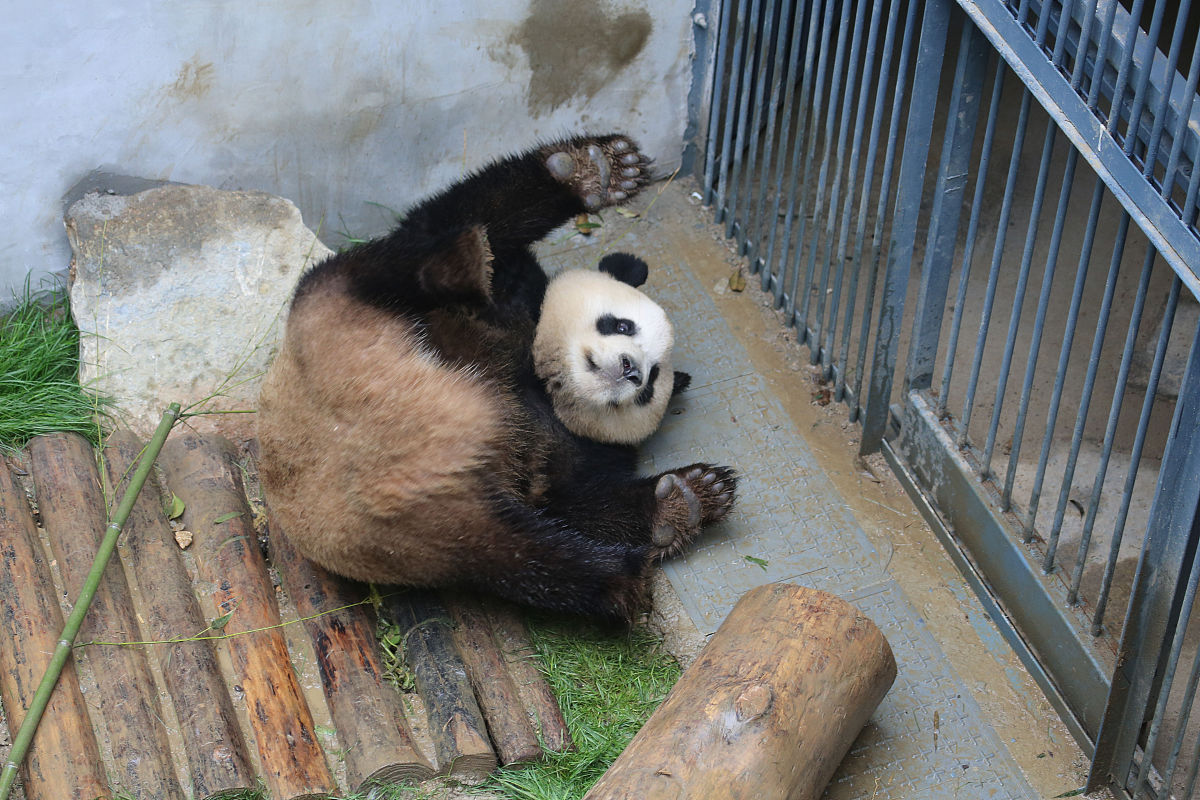 贵阳中专教育发展趋势：2023年最新资讯