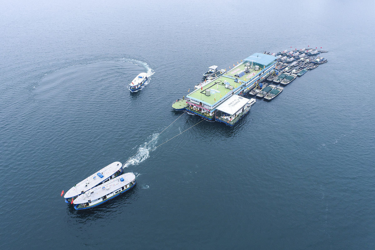 500字概括班轮运输的特点