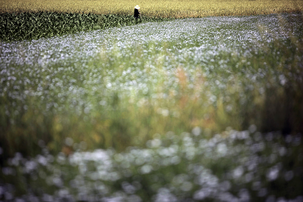 雨后的我们，更懂得珍惜