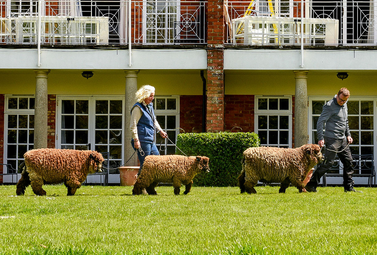 四川幼师学院酒店管理专业怎么样？优势解析及就业前景