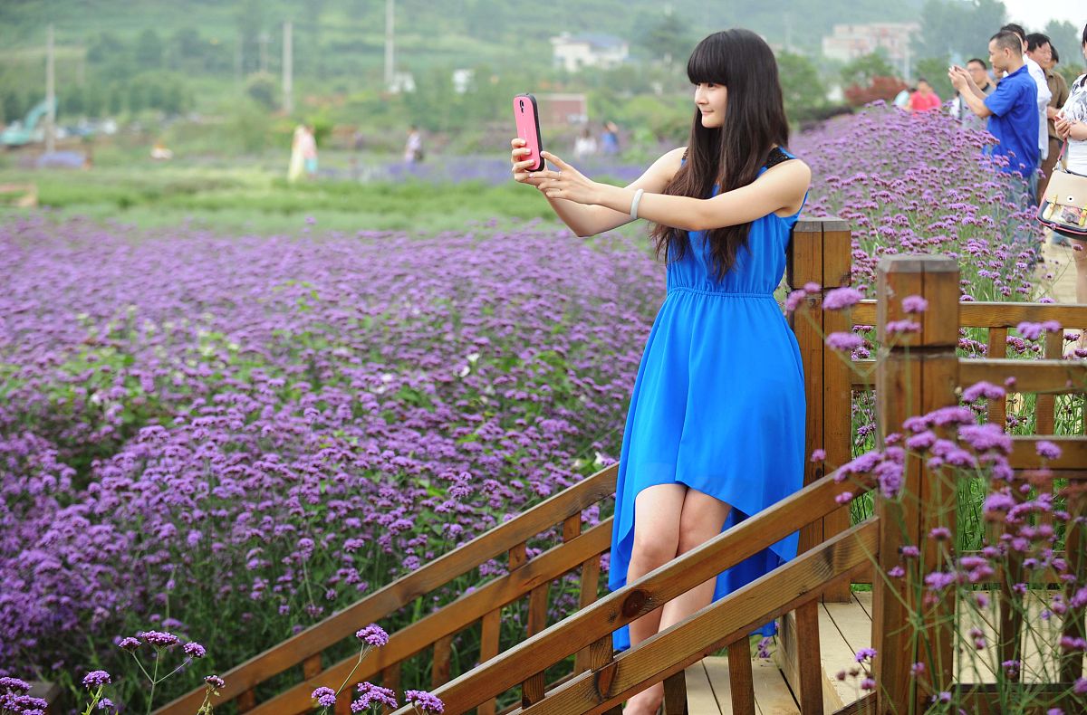 贵阳白云区职业技术学校招生攻略：报名流程、专业选择及入学考试