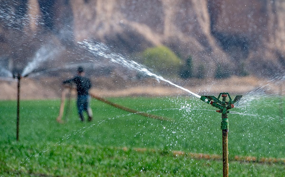 帮我换种表达：因此研究灌溉对冬小麦产量、水分利用效率WUE及灌溉水利用效率IWUE的影响对于制定冬小麦节水、高产的灌溉管理方案具有重要意义。