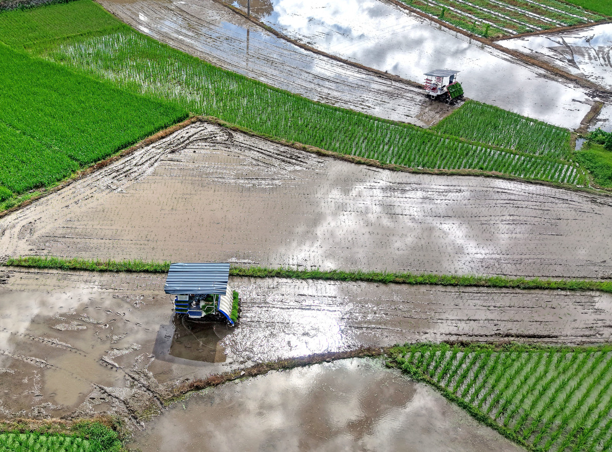 水稻插秧机水上漂能安导行吗帮我用180字详细描述